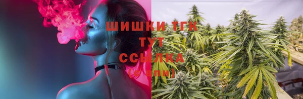 ГАЛЛЮЦИНОГЕННЫЕ ГРИБЫ Вязники