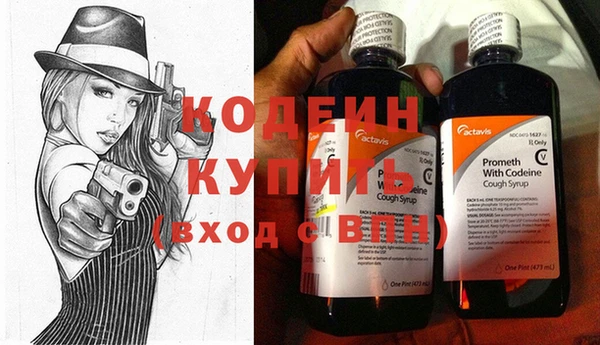 шишки Вяземский