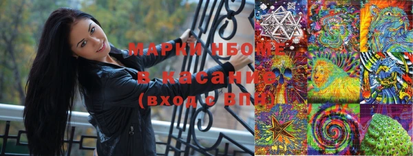 ГАЛЛЮЦИНОГЕННЫЕ ГРИБЫ Вязники