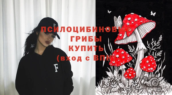 ГАЛЛЮЦИНОГЕННЫЕ ГРИБЫ Вязники