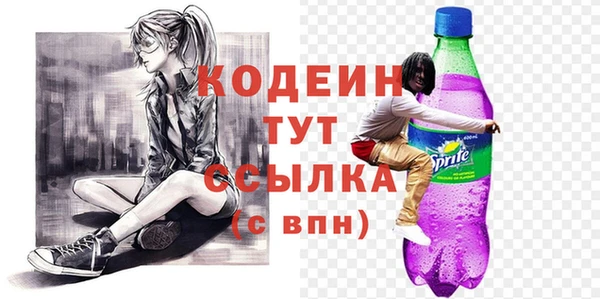 шишки Вяземский