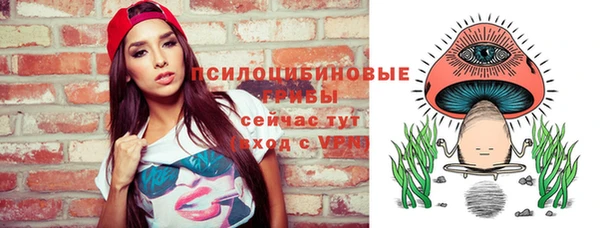 шишки Вяземский