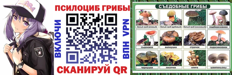 магазин продажи наркотиков Зеленоградск KRAKEN онион Галлюциногенные грибы мицелий